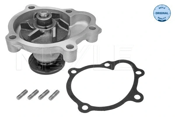Water Pump, engine cooling (613 600 4115)