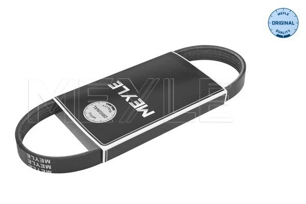 V-Ribbed Belt (050 005 0776)