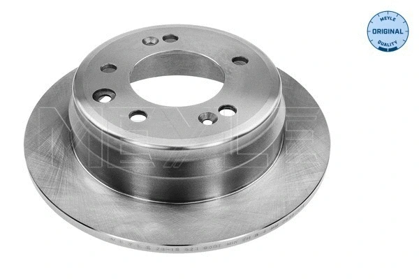 Brake Disc (28-15 523 0010)