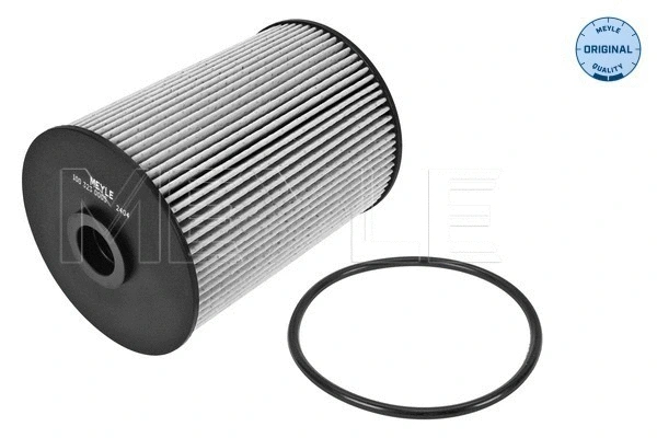 Fuel Filter (100 323 0005)