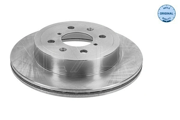 Brake Disc (615 521 6039)