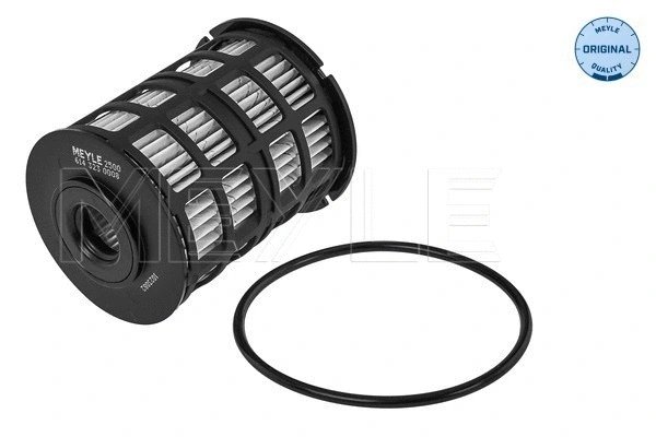 Fuel Filter (614 323 0008)