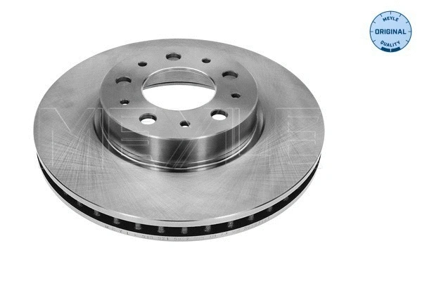 Brake Disc (515 521 5002)