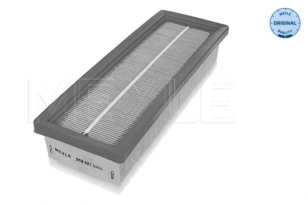 Air Filter (212 321 0004)