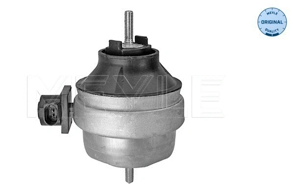 Mounting, engine