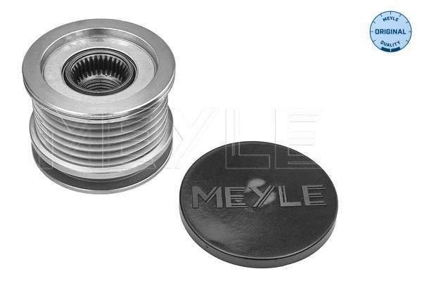 Alternator Freewheel Clutch (100 053 1009)