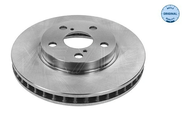 Brake Disc (30-15 521 0079)