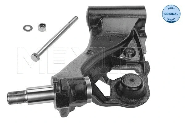 Control/Trailing Arm, wheel suspension (216 050 0008)