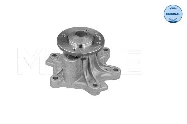 Water Pump, engine cooling (313 220 0010)