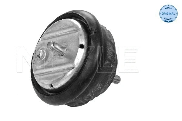 Mounting, engine (300 118 1106)