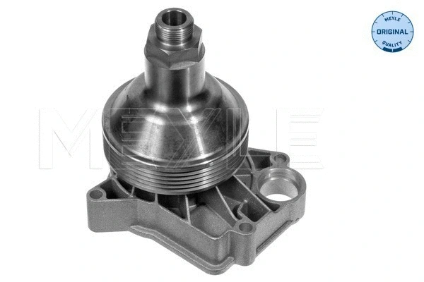Water Pump, engine cooling (313 011 0000)