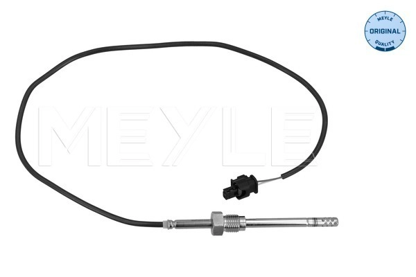 Sensor, exhaust gas temperature (214 800 0063)