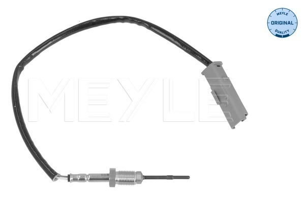 Sensor, exhaust gas temperature (11-14 800 0018)