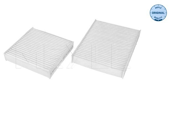 Filter, cabin air (11-12 319 0020)