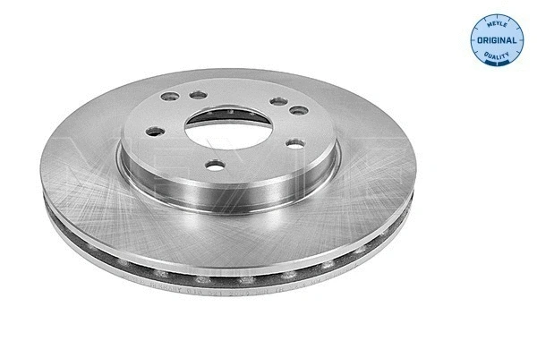 Brake Disc (015 521 2035)