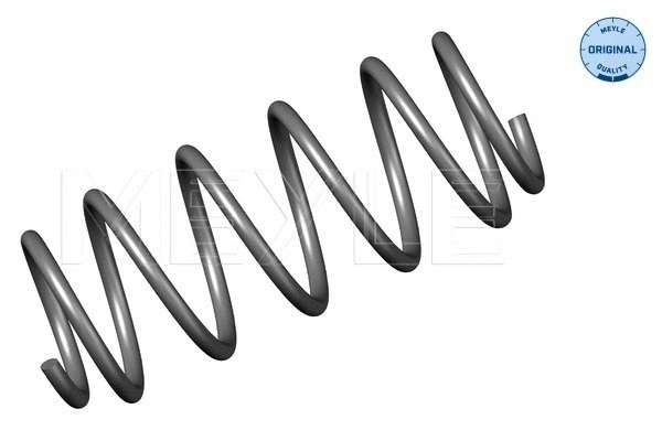 Suspension Spring (614 639 0027)