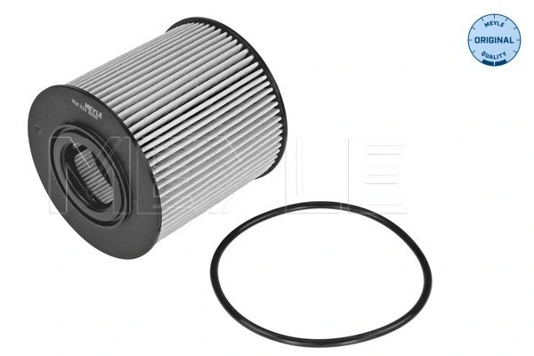 Oil Filter (514 322 0000)