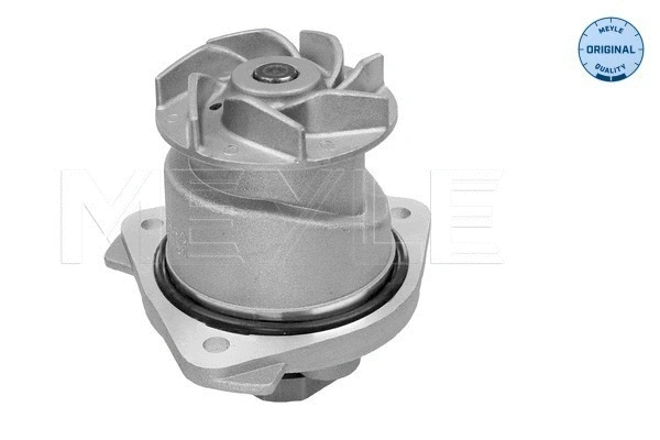 Water Pump, engine cooling (113 012 0051)