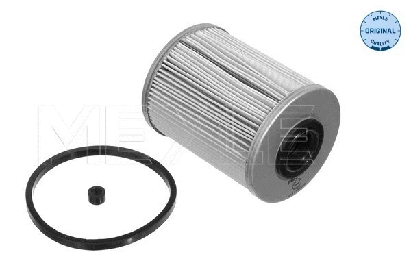 Fuel Filter (614 818 0000)
