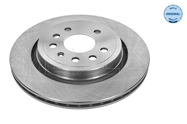 Brake Disc (615 523 6027)
