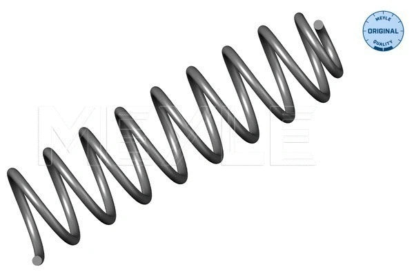 Suspension Spring (100 739 0017)