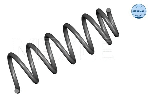 Suspension Spring (11-14 739 0001)