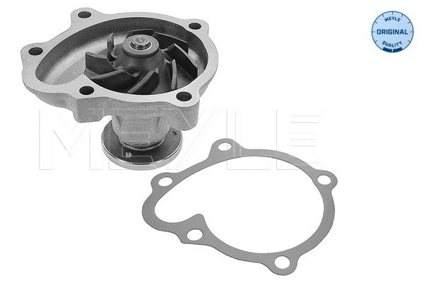 Water Pump, engine cooling (613 220 0012)