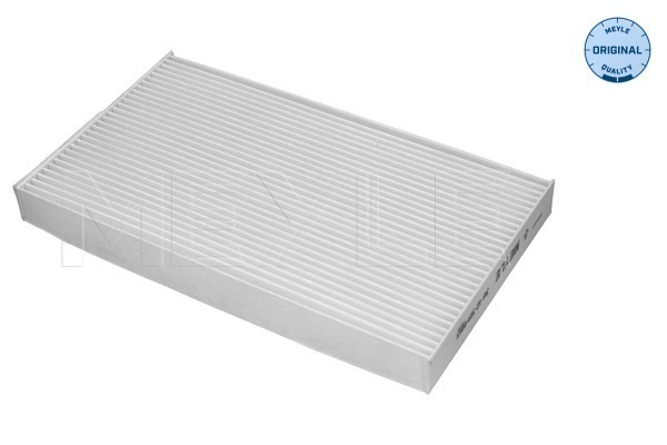 Filter, cabin air (36-12 319 0013)