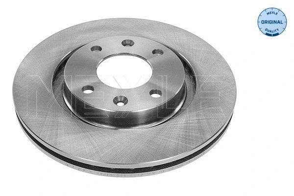 Brake Disc (11-15 521 0017)