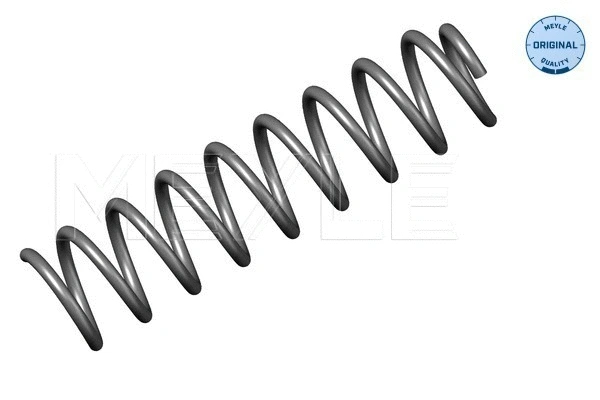 Suspension Spring (014 639 0001)