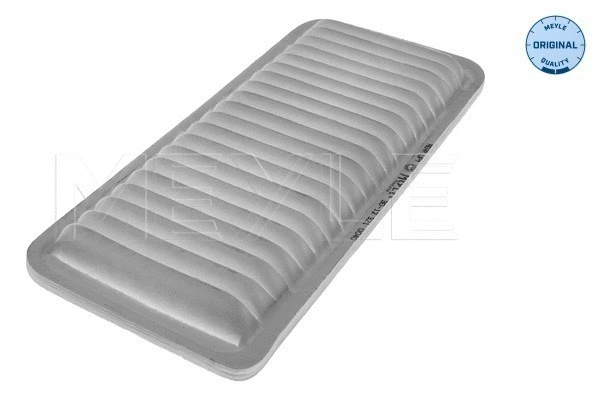Air Filter (30-12 321 0040)