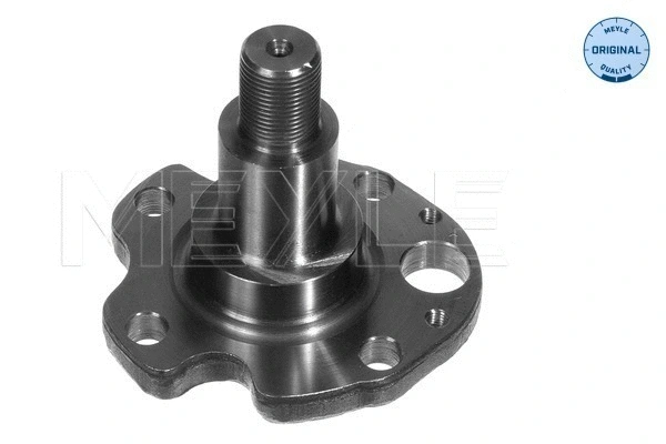 Steering Knuckle, wheel suspension (100 501 0029)