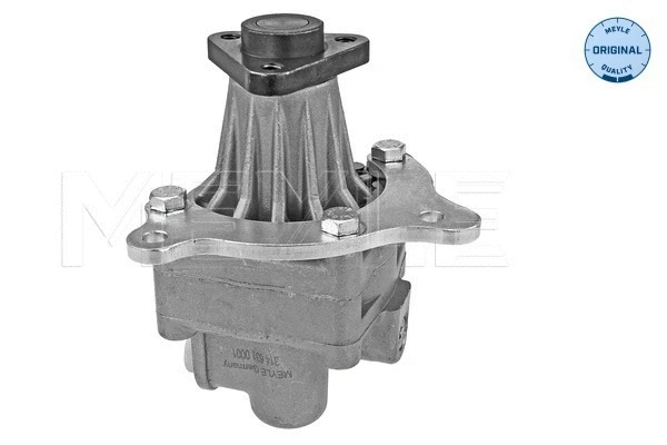 Hydraulic Pump, steering (314 631 0001)