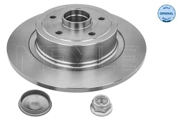 Brake Disc (16-15 523 4102)