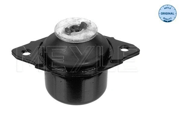 Mounting, engine (100 199 0014)