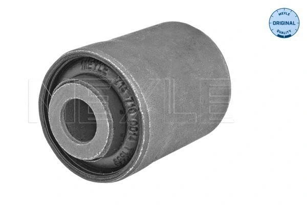 Mounting, control/trailing arm