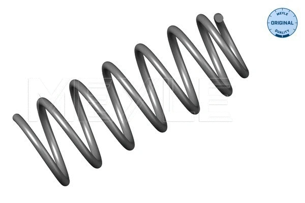 Suspension Spring (100 639 0016)