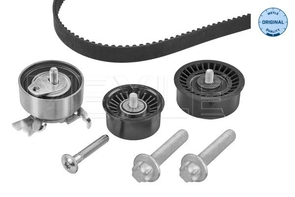 Timing Belt Kit (651 049 0008)