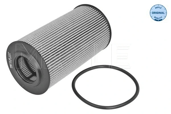 Oil Filter (100 322 0024)