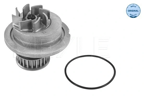 Water Pump, engine cooling (29-13 220 0001)