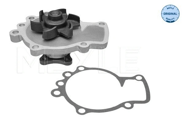 Water Pump, engine cooling (36-13 220 0000)