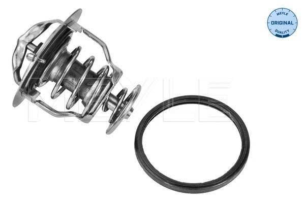 Thermostat, coolant (028 282 0004)