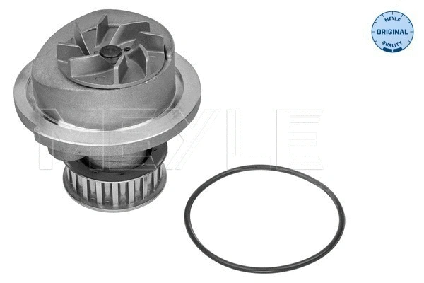 Water Pump, engine cooling (613 600 0005)