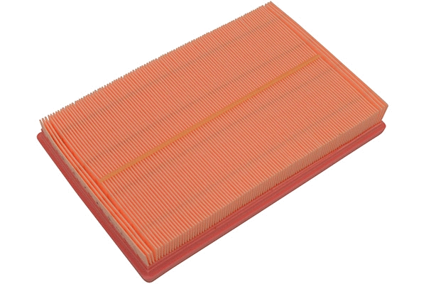 Air Filter (TA-1707)