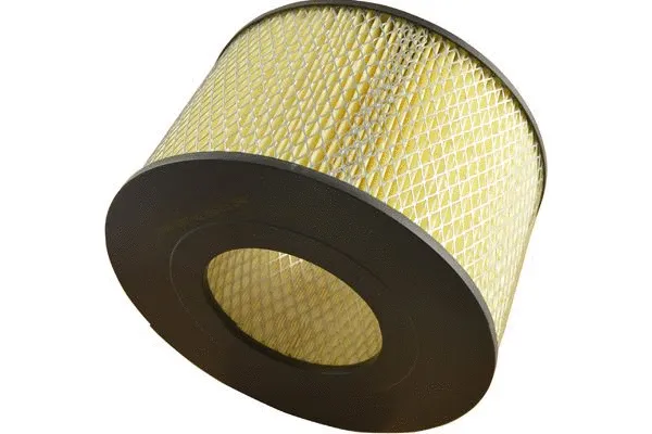 Air Filter (TA-1665)