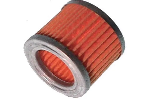 Fuel Filter (CF-1751)