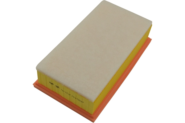 Air Filter (TA-1713)