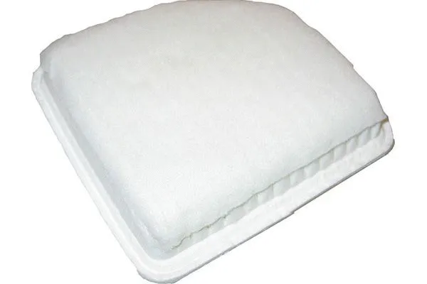 Air Filter (TA-1689)