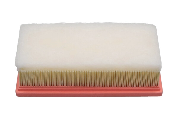 Air Filter (FAF-9001)