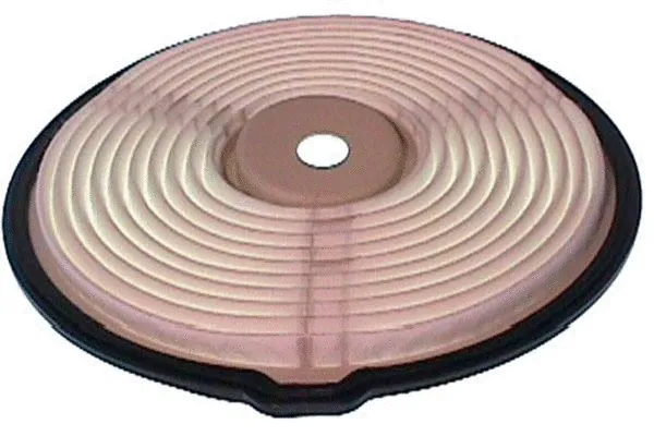 Air Filter (DA-787)